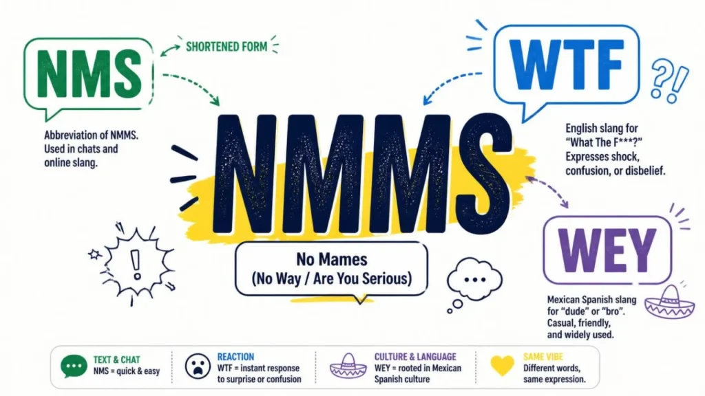Related slang terms NMMS, NMS, WTF, and Wey